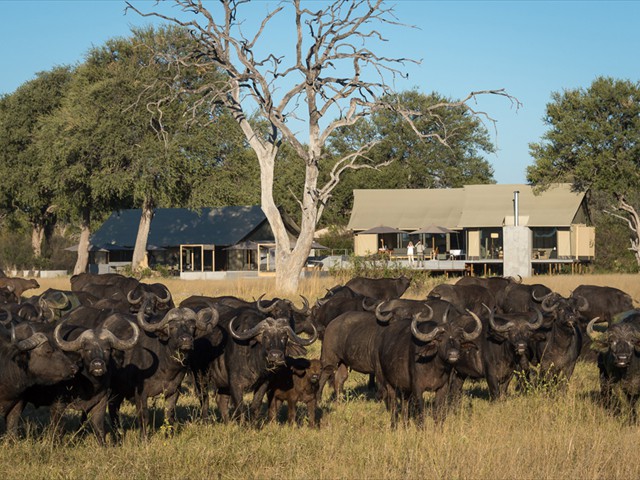 View from the waterhole