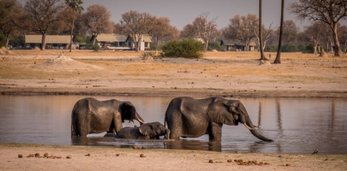 Waterhole traffic