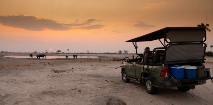 Waterhole traffic