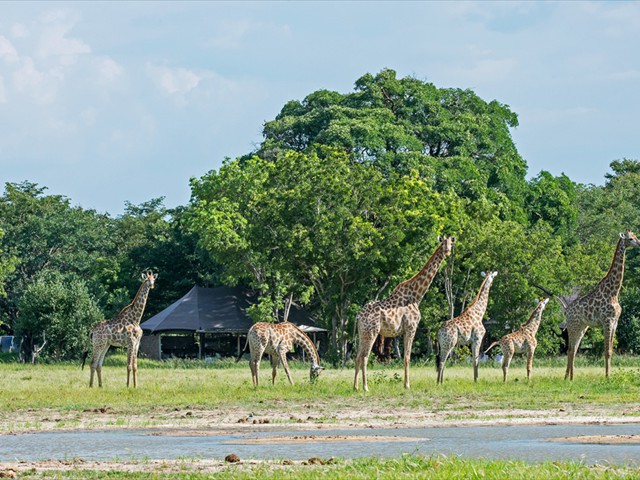 View from the waterhole