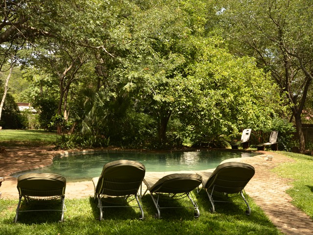 Swimming pool and garden