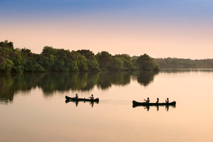 Explore the Zambezi