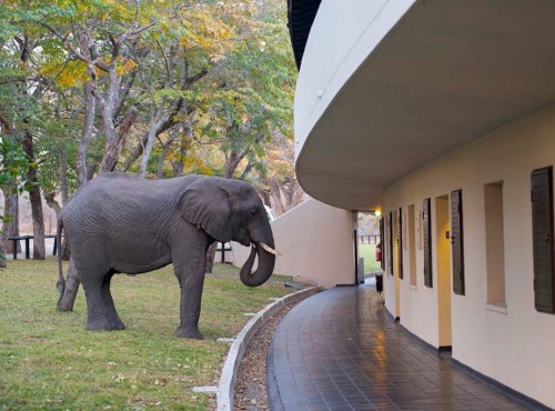 Hwange Safari Lodge - hotel accommodation in Hwange