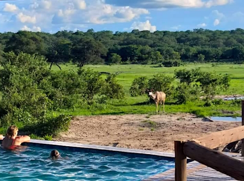 ganyana Tented Camp along the Dete Vlei on the border of Hwange National Park, Zimbabwe