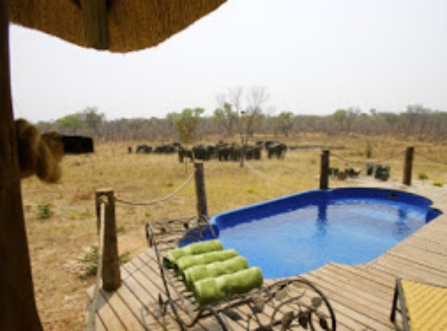 Khulu Bush Camp - Hwange National Park, Zimbabwe