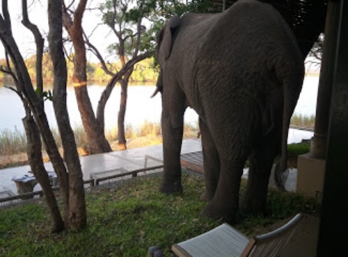 Luxury Matetsi River Lodge - Zambezi River - Victoria Falls - Zimbabe