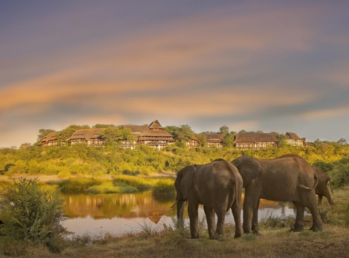 Elephants in front of Victoria Falls Safari Lodge