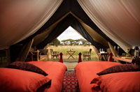 Akiba Kibwe Camp, South Serengeti, Tanzania