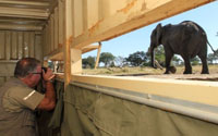 Game viewing blinds at Bomani - Hwange safari.