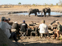The log hide at Camp Hwange, Hwange National Park, Zimbabwe
