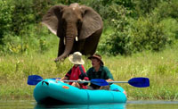 2 nights on a canoe safari on the upper Zambezi River, upstream from the mighty Victoria Falls, Zimbabwe
