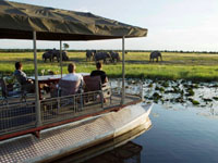 Chobe River cruise with Chobe game lodge, Botswana