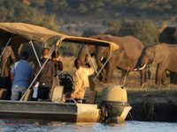 Overnight camping trip in Chobe National Park, Botswana