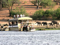 Chobe river cruise with Chobe Safari Lodge, Botswana
