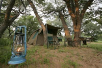 Overnight camping trip inside Chobe National Park, Botswana. Victoria Falls Chobe safari.