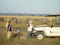 Chobe Safari Lodge - Botswana