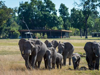 Davisons Camp, Hwange National Park, Zimbabwe