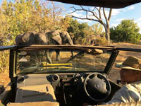 Elephant Valley Lodge near Chobe National Park, Botswana.
