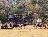 The platform at Farmhouse Matopos Lodge, Zimbabwe
