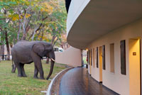 Hwange Safari Lodge - Zimbabwe