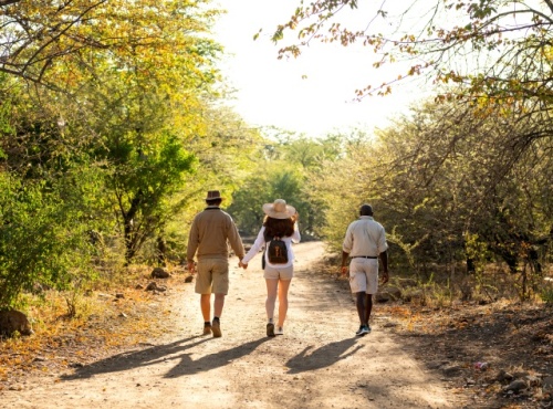 Ichingo Chobe River Lodge - Namibia