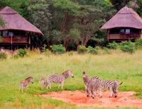 Ivory Lodge in Hwange, Zimbabwe