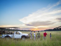 Ivory Lodge game drive - Hwange, Zimbabwe