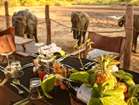 Kanga Cmap Dining in Mana Pools National Park, Zimbabwe