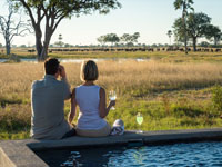View of the waterhole at Linkwasha Camp in Hwange National Park, Zimbabwe