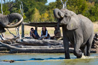 Taking a peak from the hide at Little Makalolo Camp, Hwange National Park, Zimbabwe
