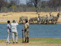 Game viewing on foot at Litle Makalolo Camp - Hwange National Park, Zimbabwe