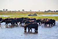 Boat Cruise on the Chobe River - Botswana