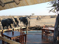 Locals at Nehimba Lodge, Hwange National Park - Zimbabwe