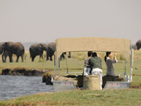 River cruise in Chobe, Chobe National Park, Botswana