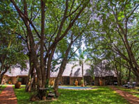 Nguni Lodge near the amazing Victoria Falls, Zimbabwe