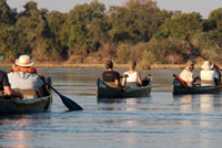 Canoe Safari on the Zambezi River in the Mana Pools section of the river.