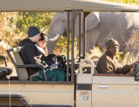 Game drives in the Okavango delta