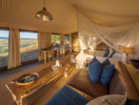 Standard Luxury at Ruckomechi Camp, Mana Pools, Zimbabwe