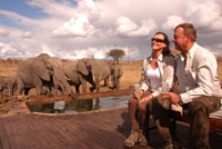 Guests at Somalisa Camp pool in Hwange National Park, Zimbabwe