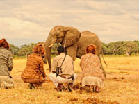 Game-viewing on foot from Somalisa Camp in Hwange National Park, Zimbabwe