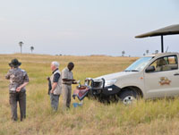 Game drive in Hwange with The Hide Camp, Zimbabwe
