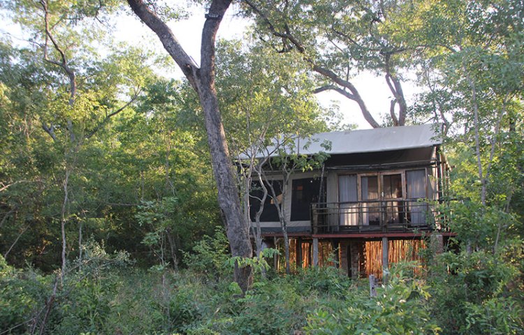 Miombo Safari Camp near Hwange National Park, Zimbabwe