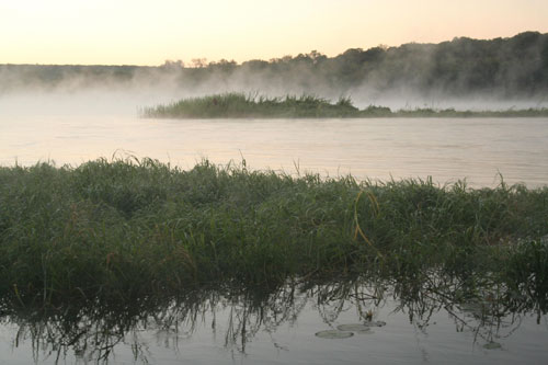 Early morning mists on the Zambezi