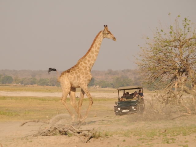A private lodge at Ngoma Safari Lodge, Chobe Riverfront, Botswana Botswana Accommodation and flights package - Ngoma Safari Lodge, Chobe, Botswana