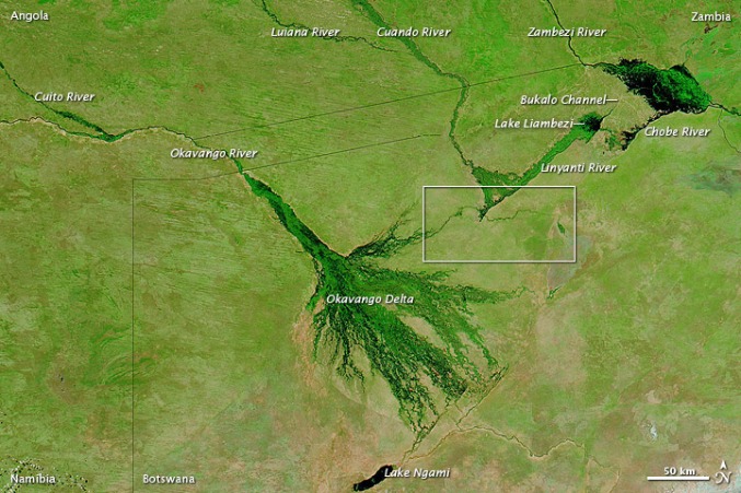 Okavango Delta - an oasis in the Kalahari