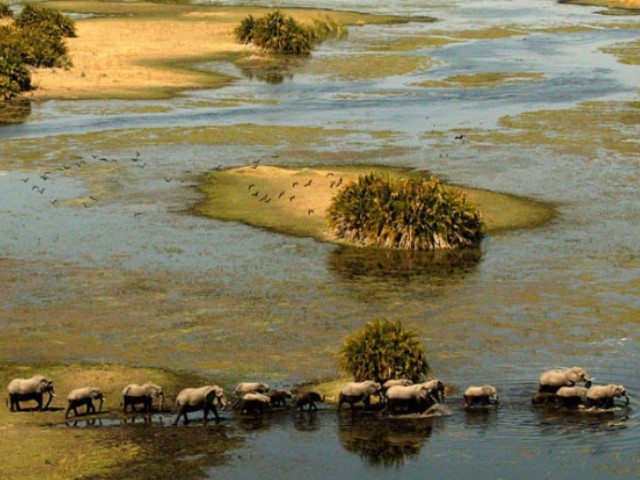 The delta during the dry season