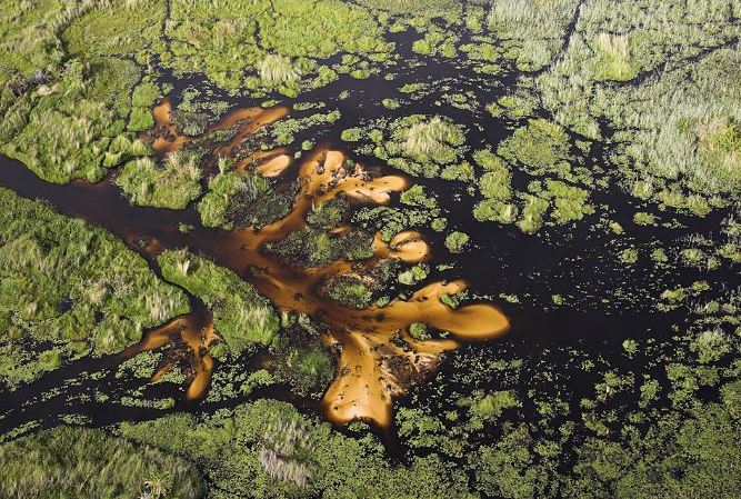 Aerial view of the delta in flood