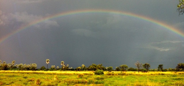 Dramatic scenes in the wet season