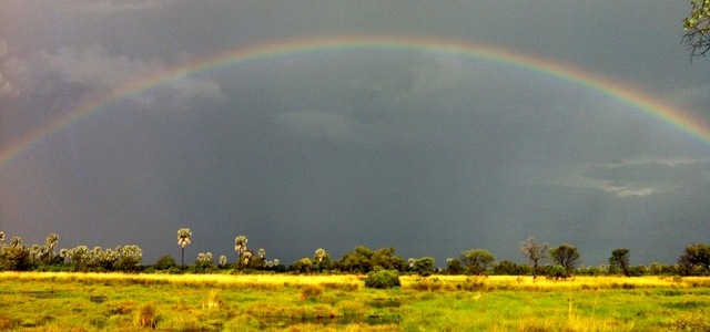 Dramatic scenes in the wet season