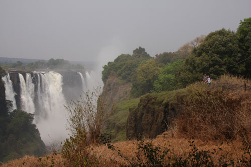 Rainforest of Victoria Falls